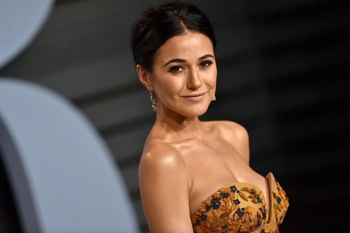 Emmanuelle Chriqui's $9 Million Net Worth - All Her Income Sources That Made her Rich